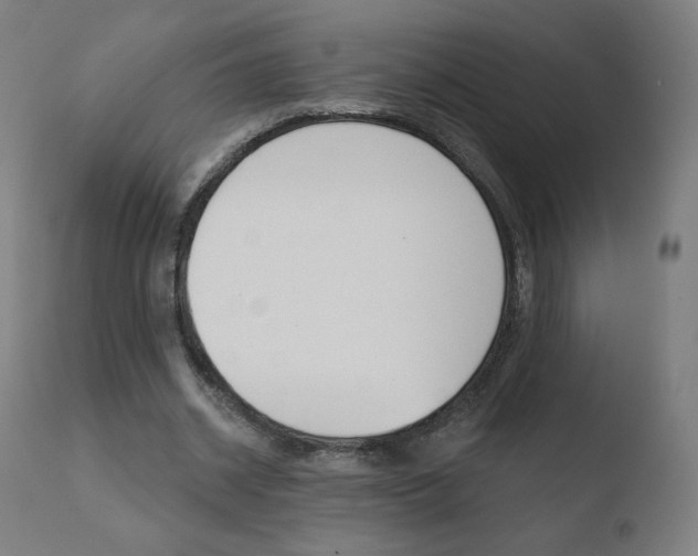 X0000110720534200906121249