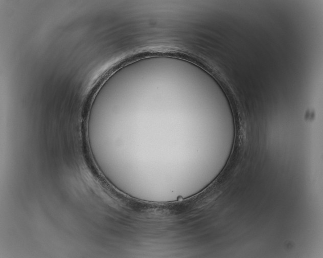 X0000110720535200906121249