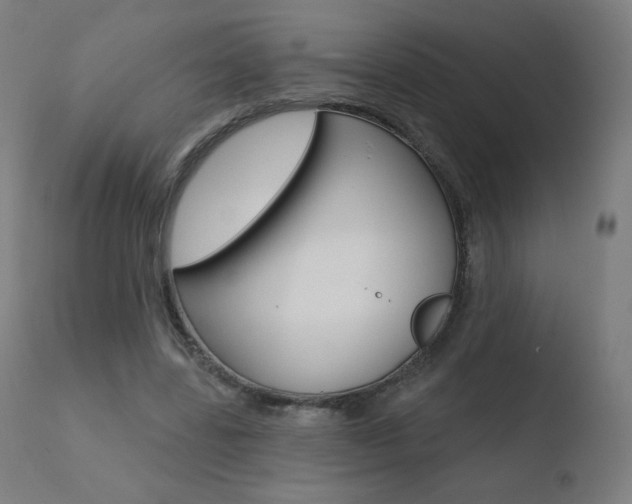 X0000110720539200906121249