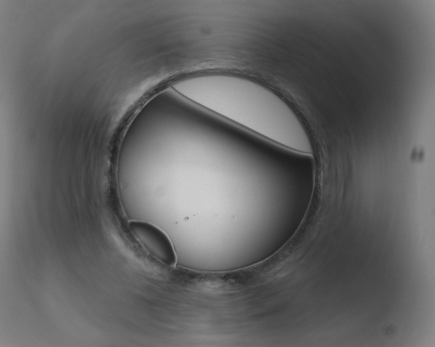 X0000110720540200906121249