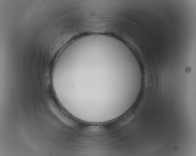 X0000110720541200906121249