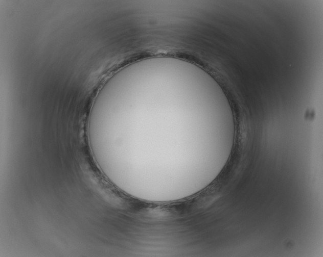X0000110720545200906121249