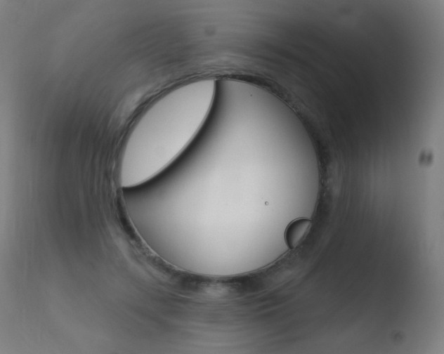 X0000110720547200906121249