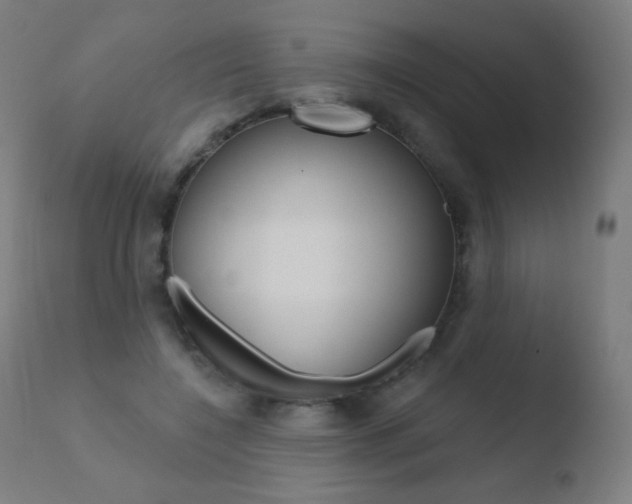 X0000110720548200906121249