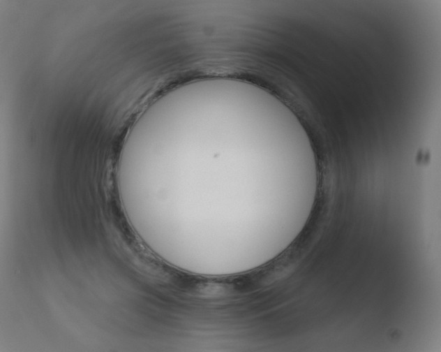 X0000110720549200906121249