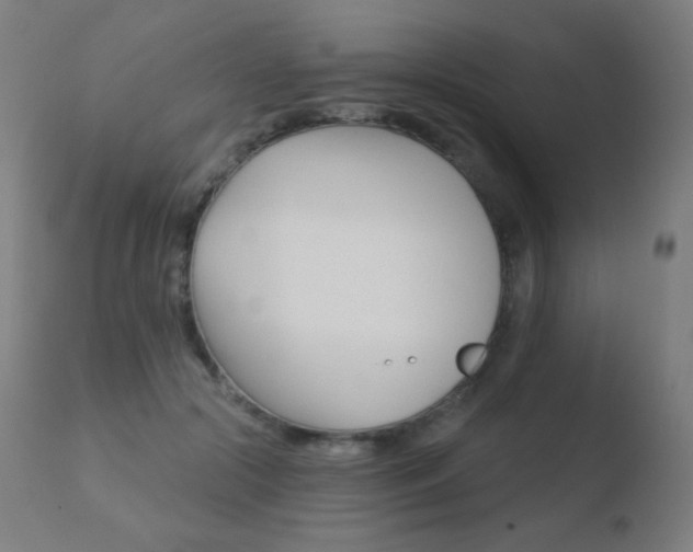 X0000110720553200906121249