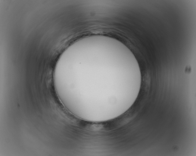 X0000110720554200906121249