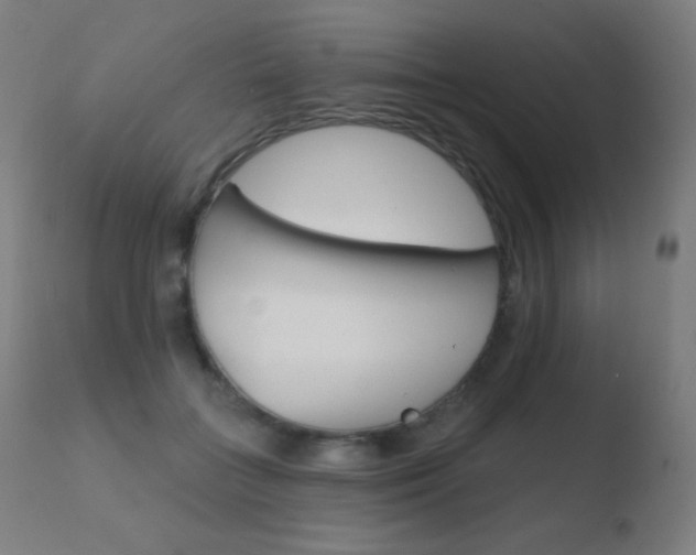 X0000110720555200906121249