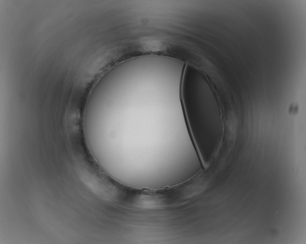 X0000110720556200906121249