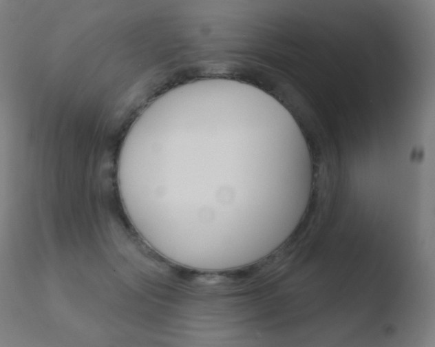 X0000110720557200906121249