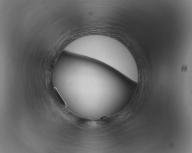 X0000110720558200906121250