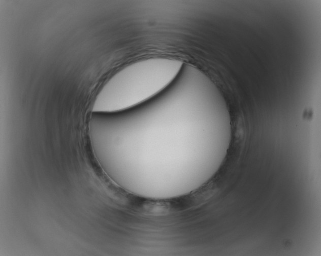 X0000110720559200906121250
