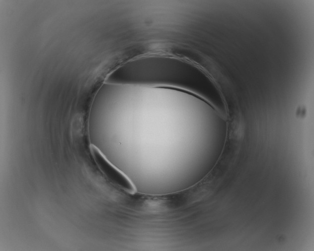 X0000110720560200906121250