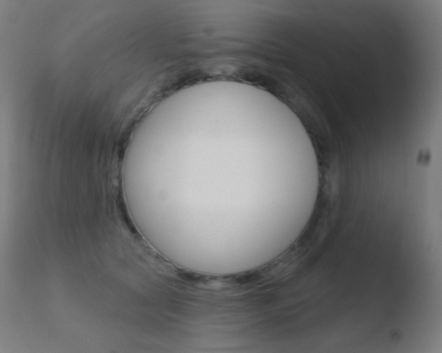 X0000110720561200906121250