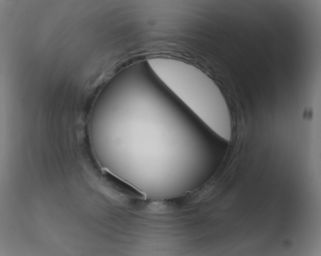 X0000110720562200906121250