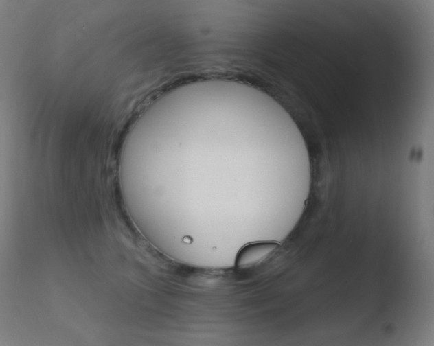 X0000110720563200906121250