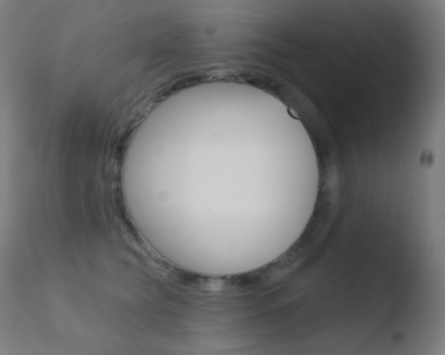 X0000110720565200906121250