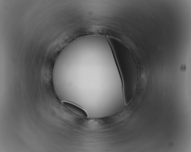 X0000110720566200906121250