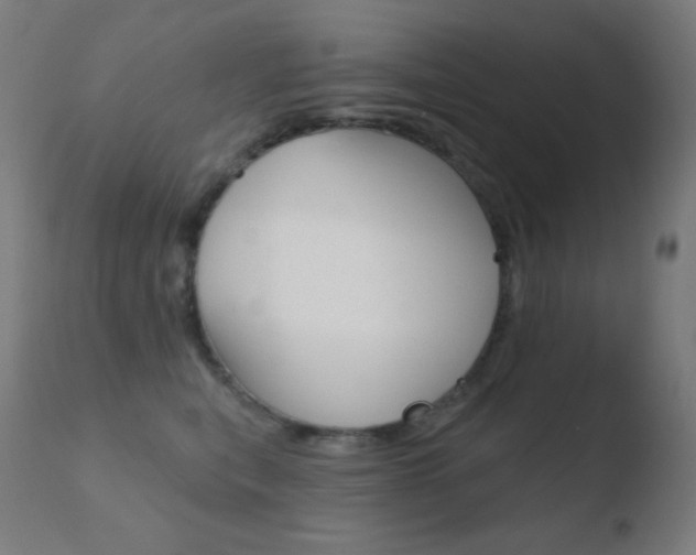 X0000110720567200906121250