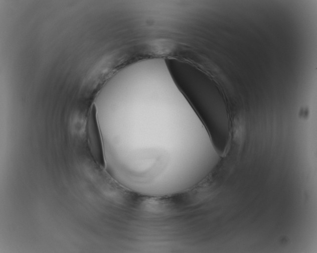 X0000110720568200906121250