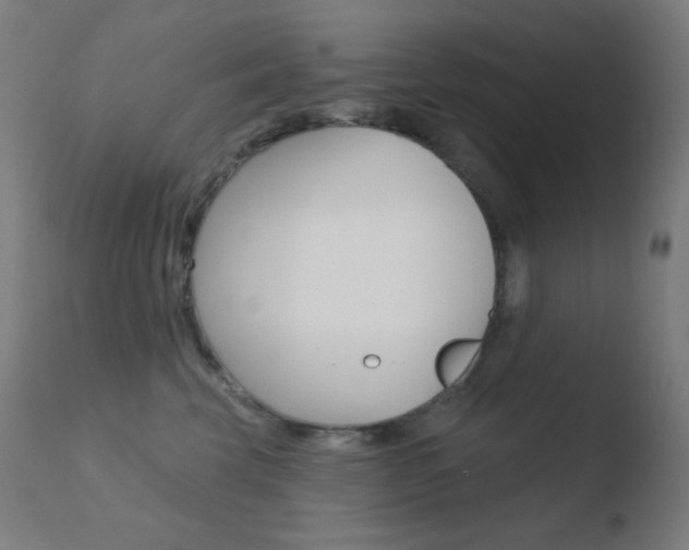 X0000110720569200906121250