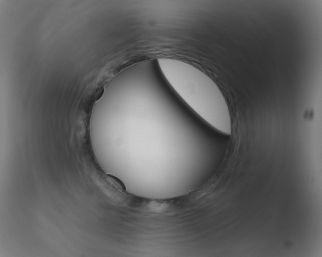 X0000110720570200906121250