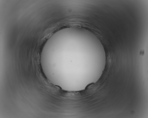 X0000110720571200906121250