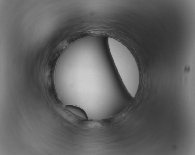 X0000110720572200906121250
