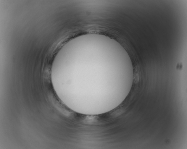 X0000110720573200906121250