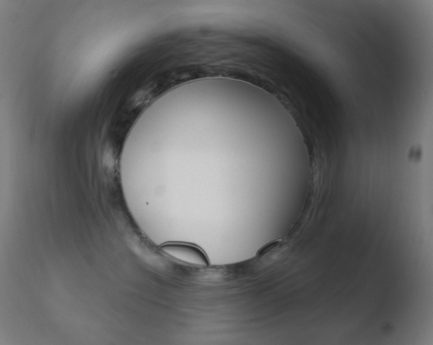 X0000110720574200906121250