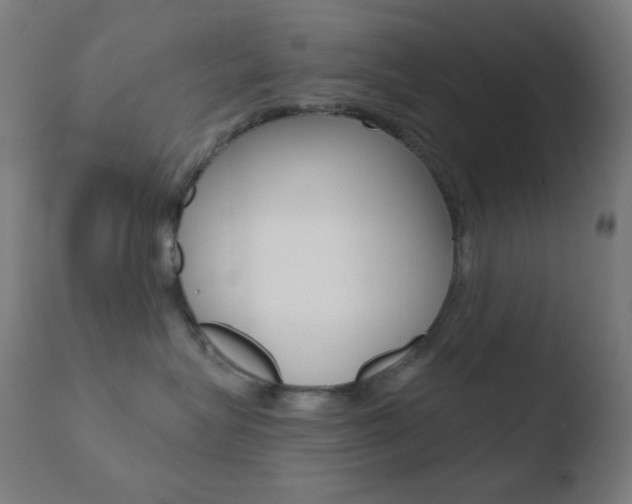 X0000110720575200906121250