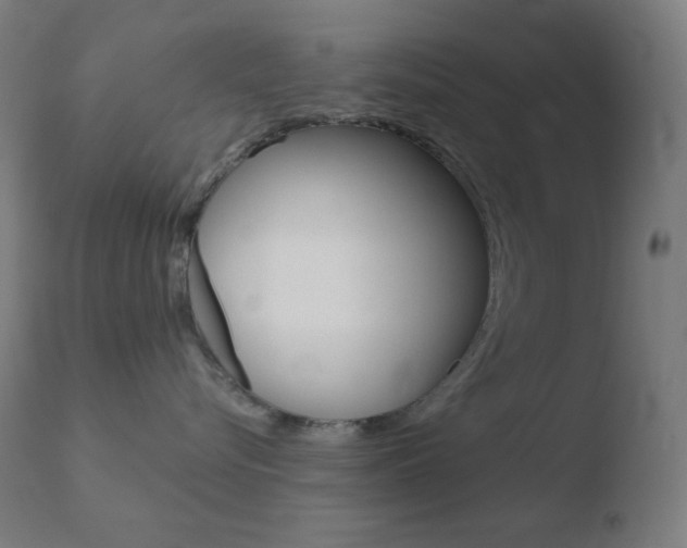 X0000110720576200906121250