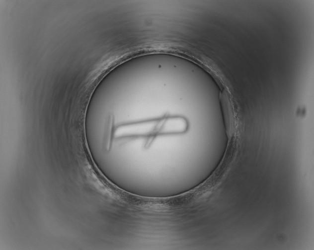X0000110720577200906121249