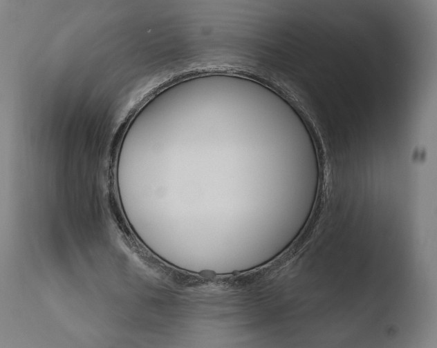 X0000110720578200906121249