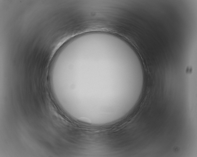X0000110720579200906121249