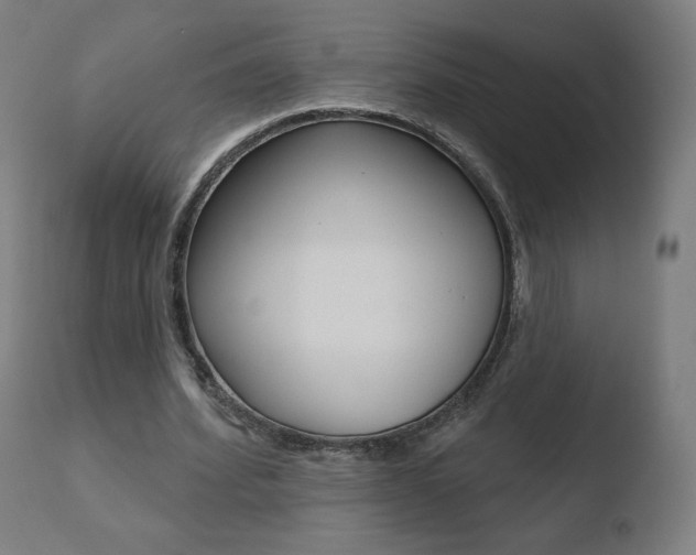X0000110720580200906121249