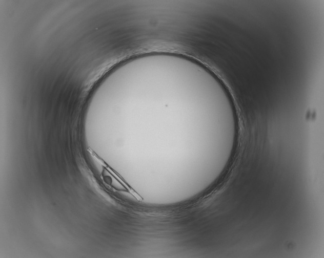 X0000110720581200906121249