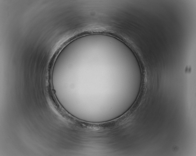 X0000110720582200906121249
