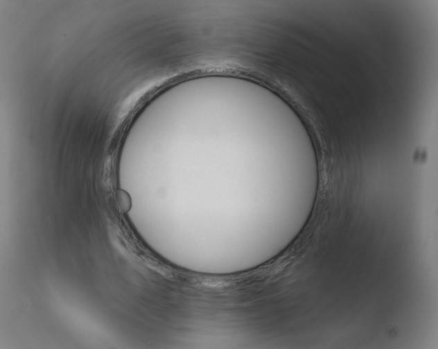 X0000110720583200906121249