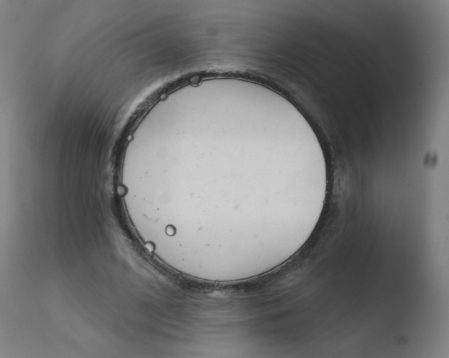 X0000110720584200906121249