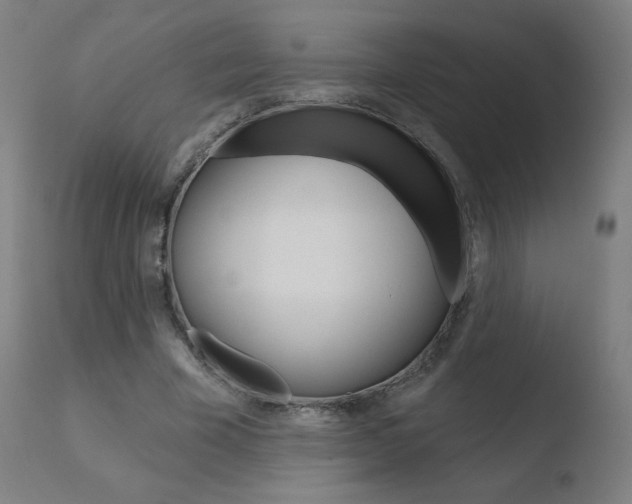 X0000110720585200906121249