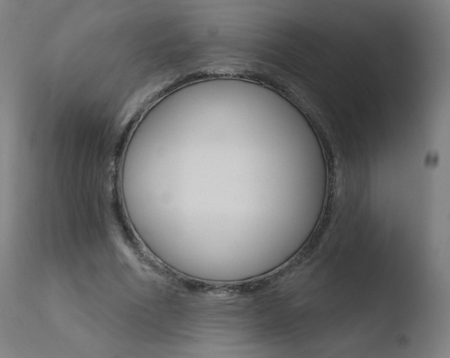 X0000110720586200906121249