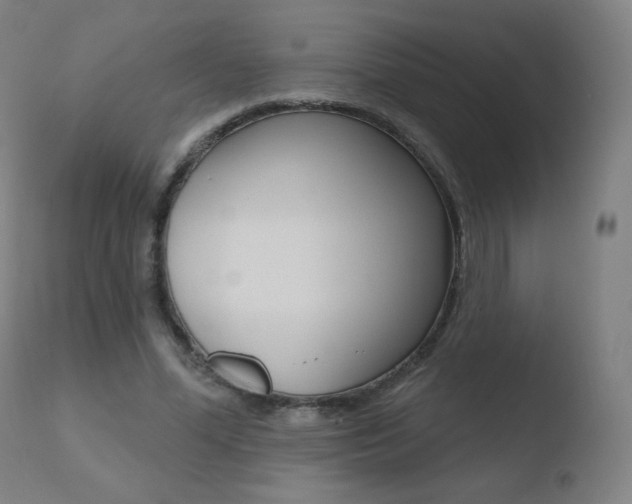 X0000110720588200906121249