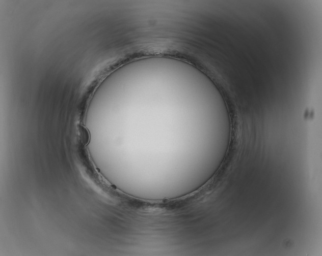 X0000110720590200906121249
