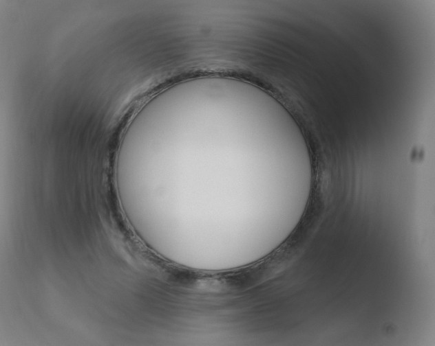 X0000110720591200906121249