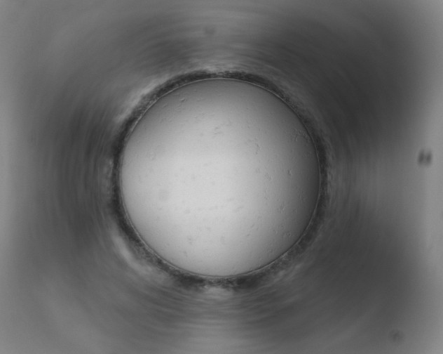 X0000110720592200906121249