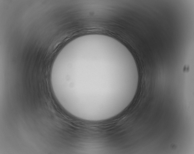 X0000110720595200906121249