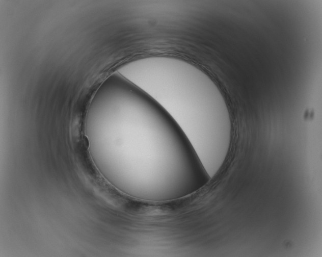 X0000110720597200906121249