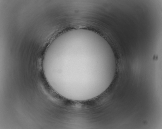 X0000110720598200906121249