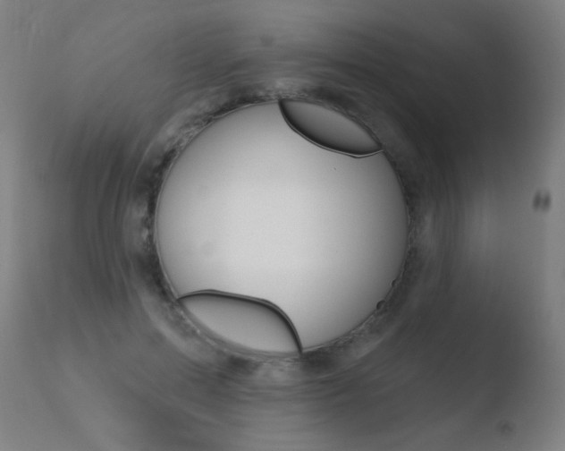 X0000110720599200906121249